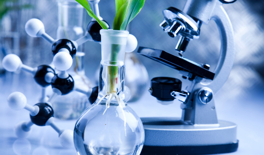 Biome Technologies Funded For Bioplastics Development