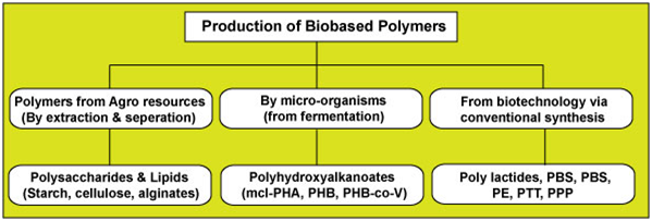 BioPolymers Trends