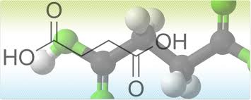 Bio-Succinic Acid: A Blockbuster
