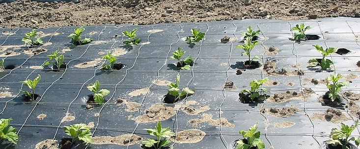 Plastics and Irreversible Soil Contamination