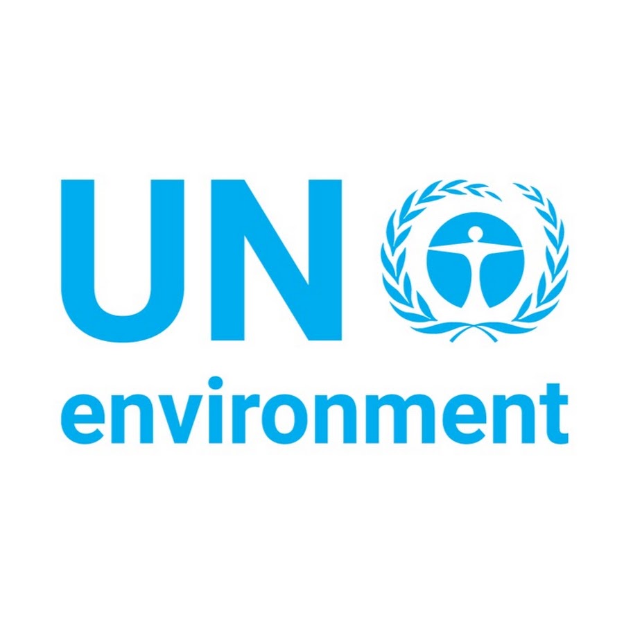 UN Report “Exploring Alternative Materials to Reduce Plastic Pollution” is available