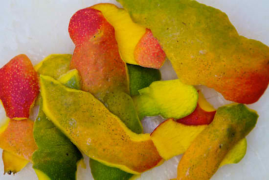 Bioplastics Made From Mango