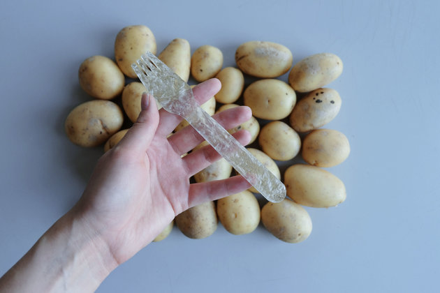 Bioplastics Made from Potatoes