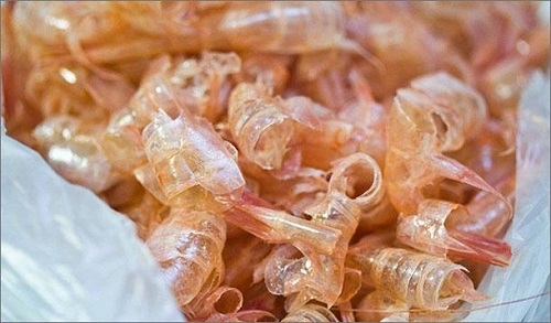 Shells from Crustaceans Used by Montreal Researchers to Make Bioplastic