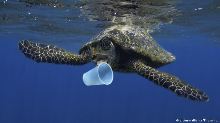 Visible Ocean Plastics Just the Tip of the Iceberg￼
