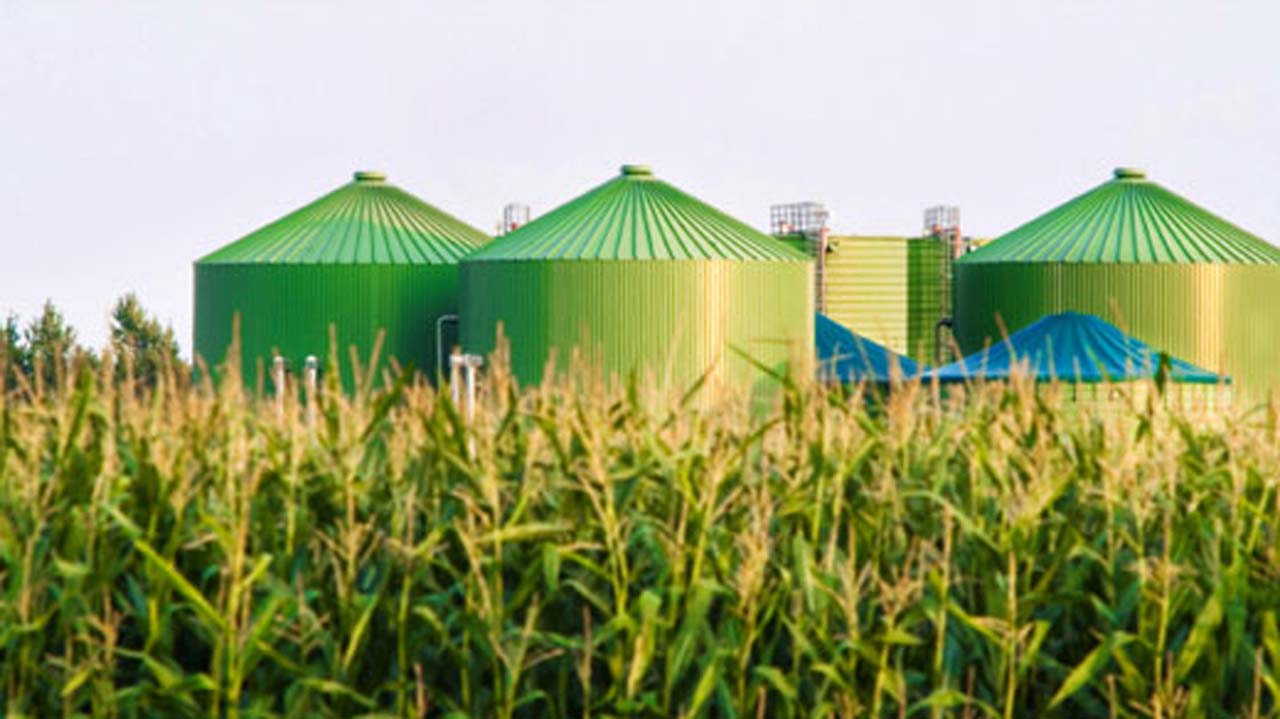 New Consortium Will Convert Biomass Waste into Furfural