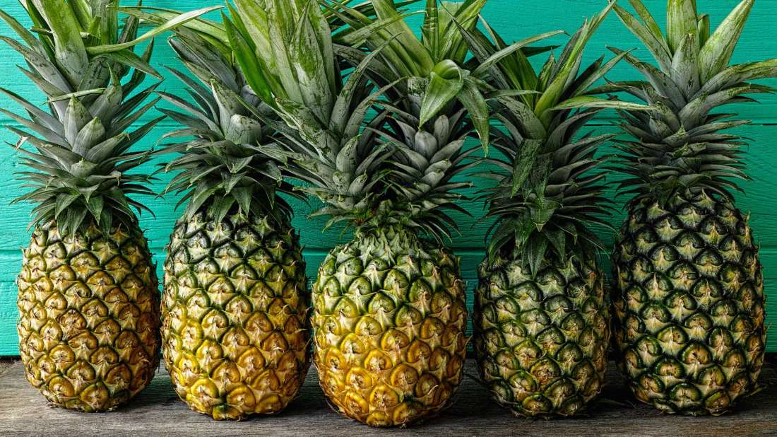 Impact of High-Dose Gamma Irradiation on PLA/PBAT Blends Reinforced with Cellulose Nanoparticles from Pineapple Leaves