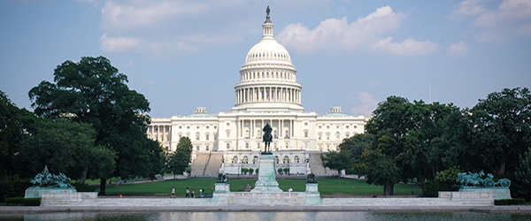 If it Says Biodegradable, It Might not be Compostable