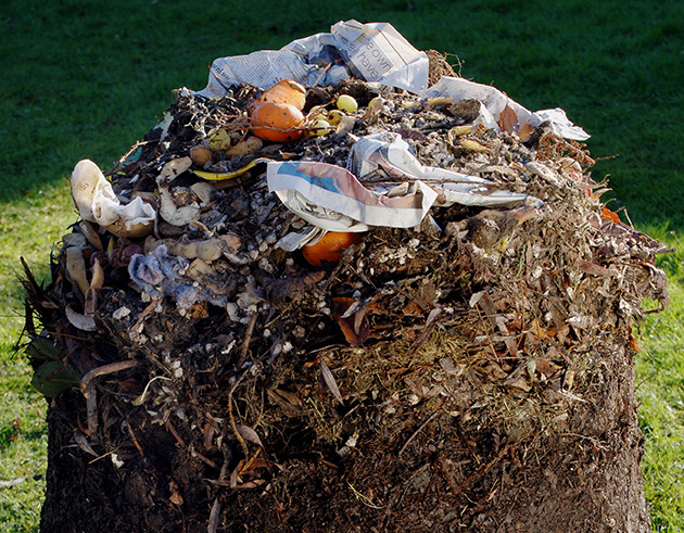 Compostable Food Packaging may Contaminate Compost