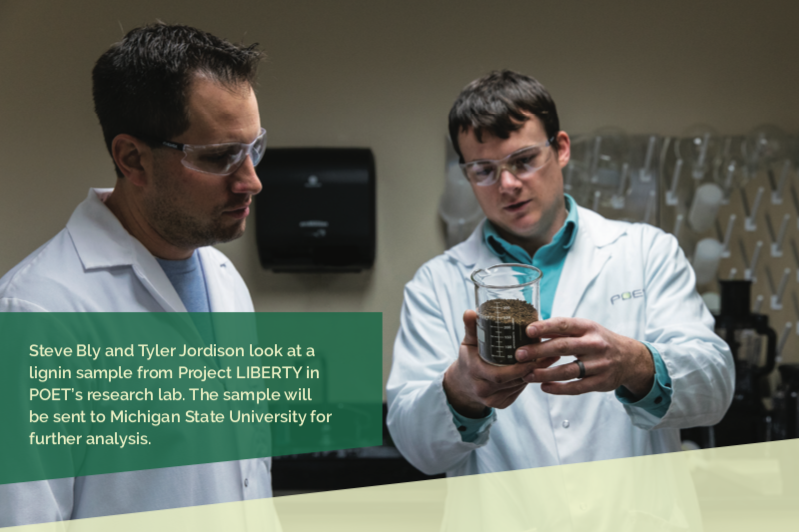 Americans Revolutionise The Wood Adhesives Industry