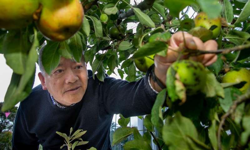 Biodegradable Coating to Help Achieve Food Security