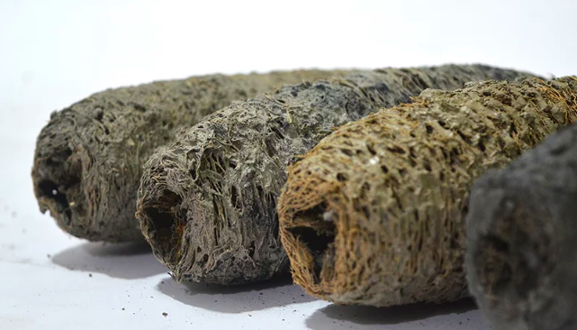 Biodegradable Construction Bricks Made Of Charcoal And Loofah