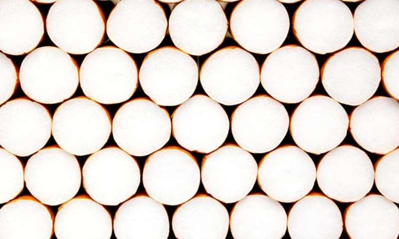 biodegadable cigarette filters