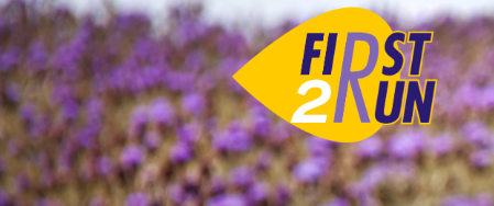 firts2run eu project