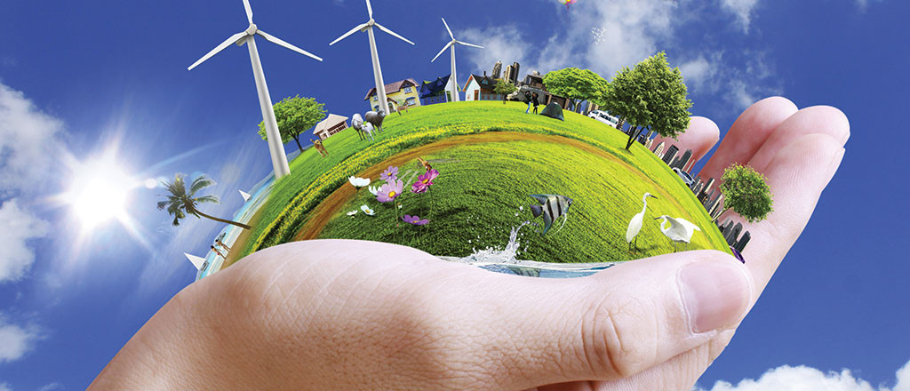 Renewable and Recyclable?