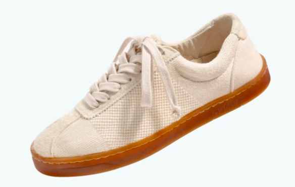 Panchkula Firm Develops Biodegradable Shoe