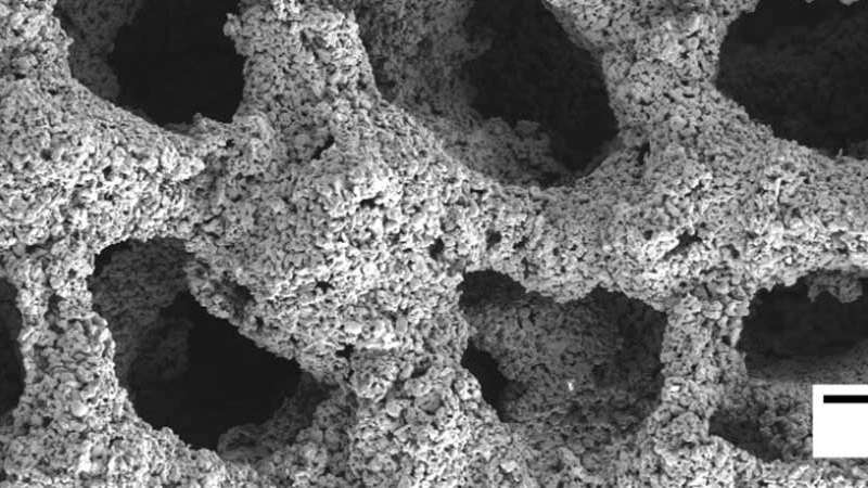 biodegradable metals biosa