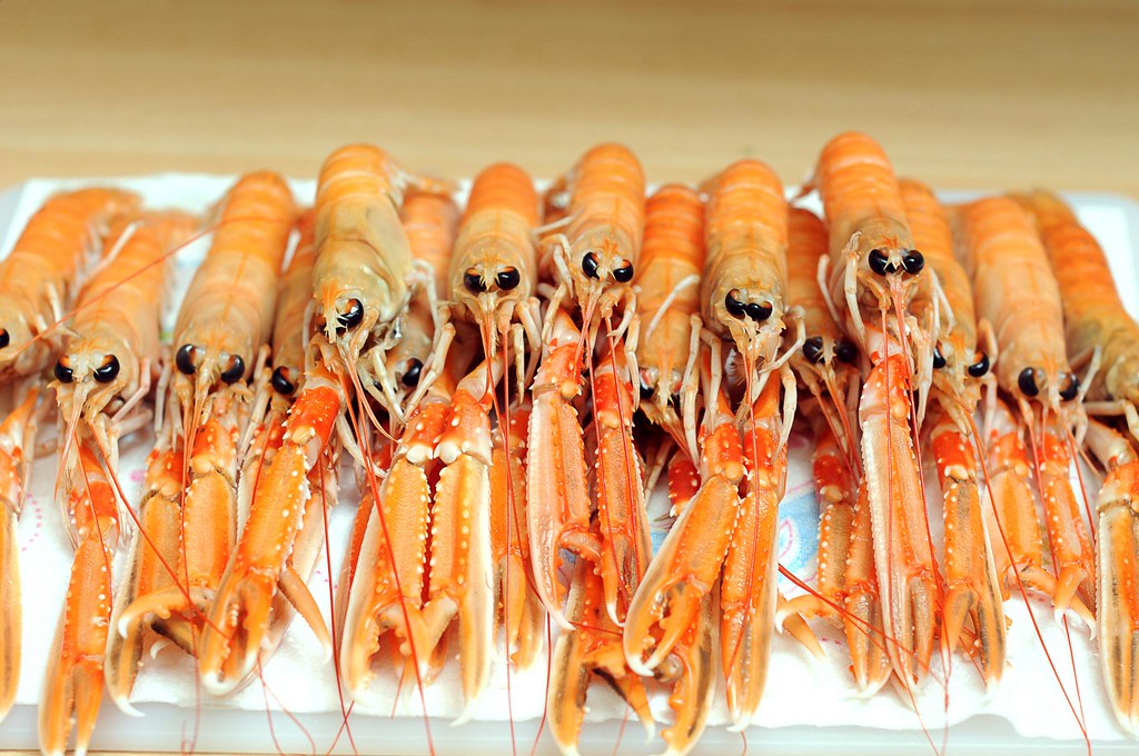 Scots Firm Develop Biodegradable Packaging Made From Langoustines