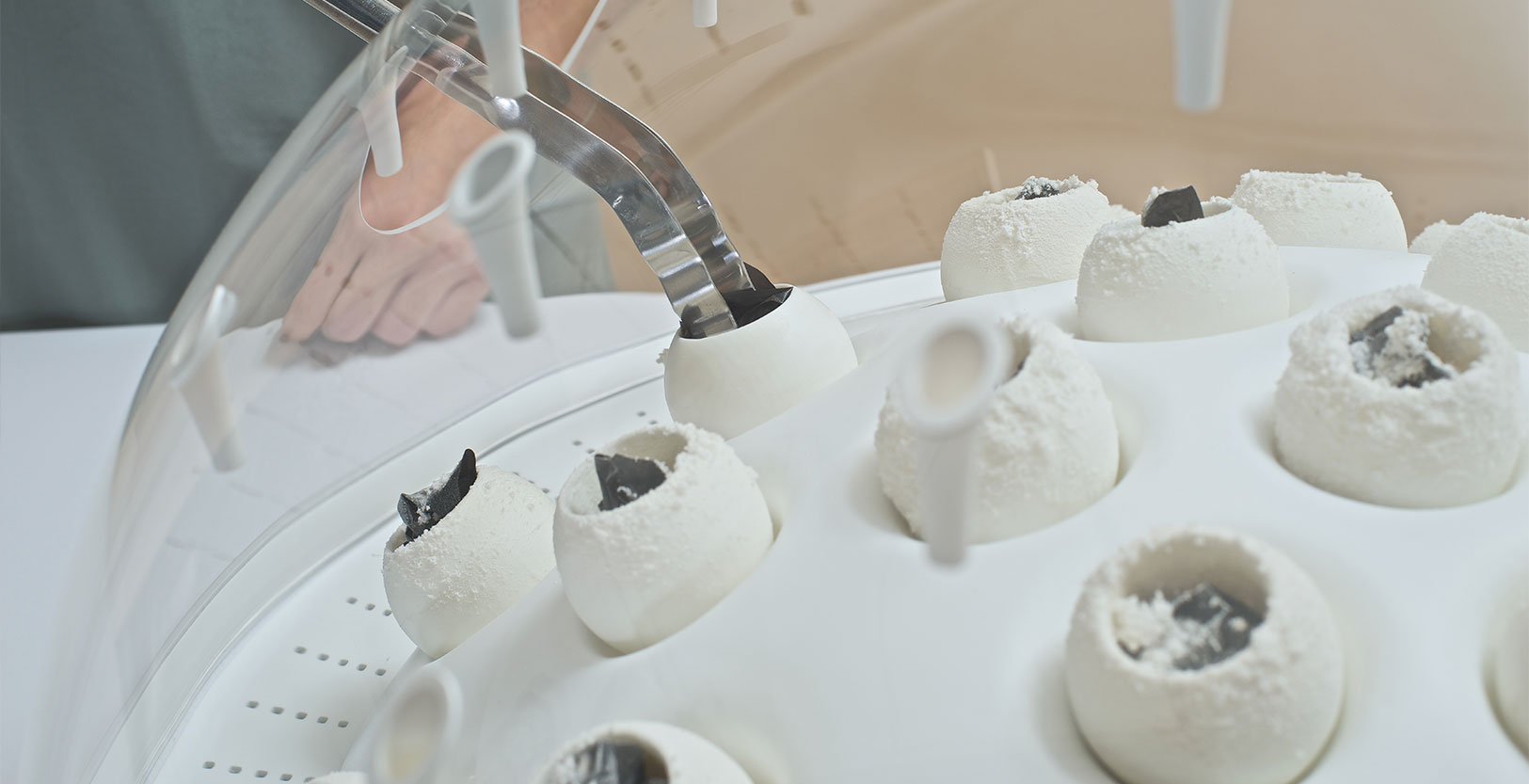 mushroom eating plastics