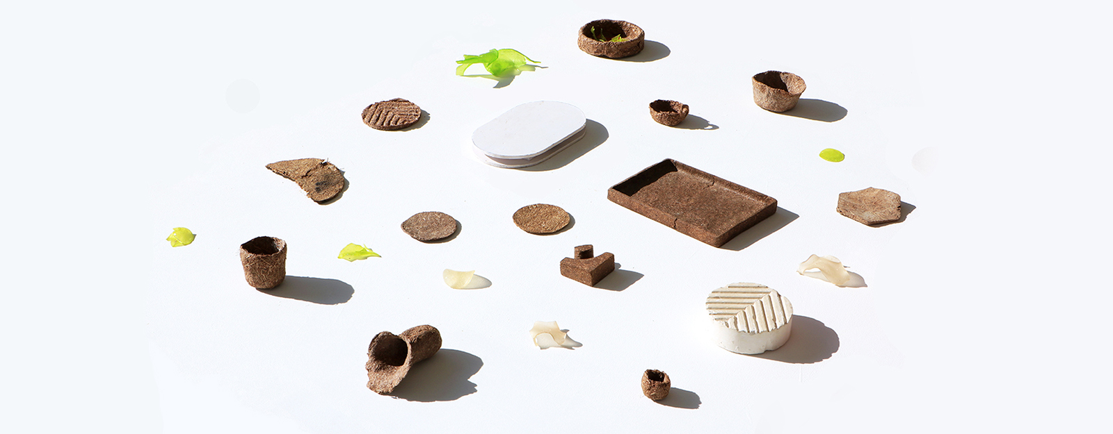 pine needle biocomposite bioplastics