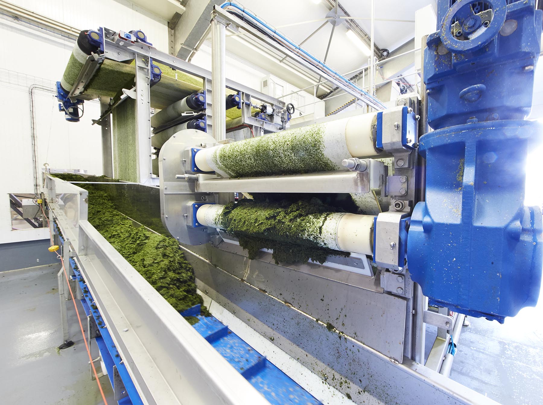 Magnets Extraction Algal Molecules Bioplastics