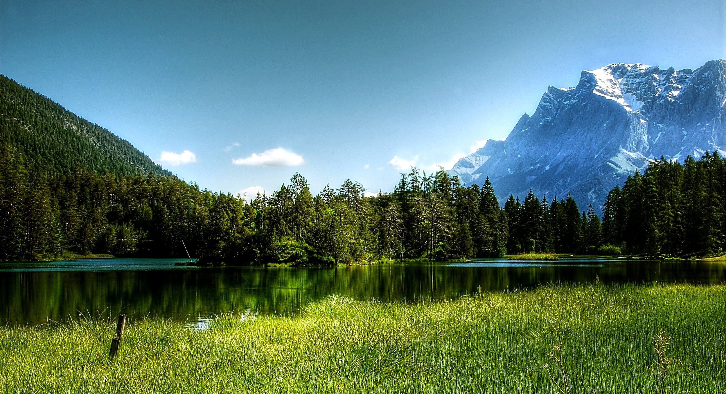 Are Bioplastics Better for the Environment or a Waste of Time?