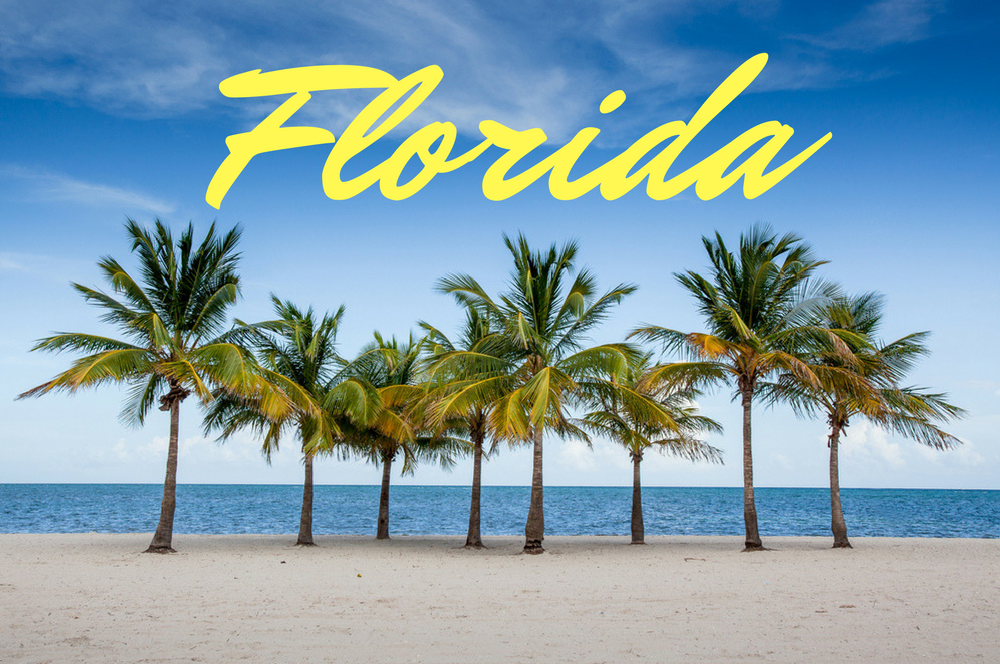 Florida Against Single Use Plastics