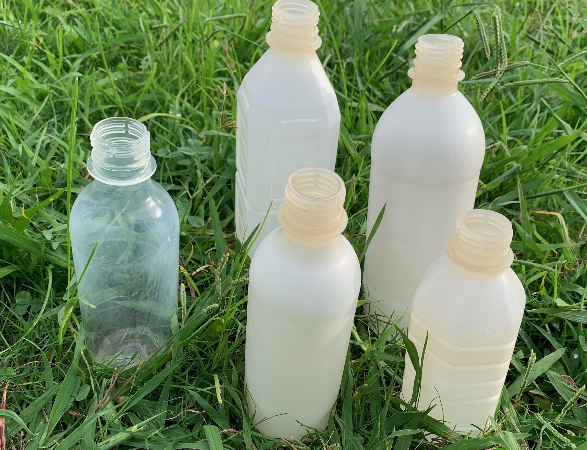 Green Science Alliance Improves PLA Bottle With Nano Cellulose