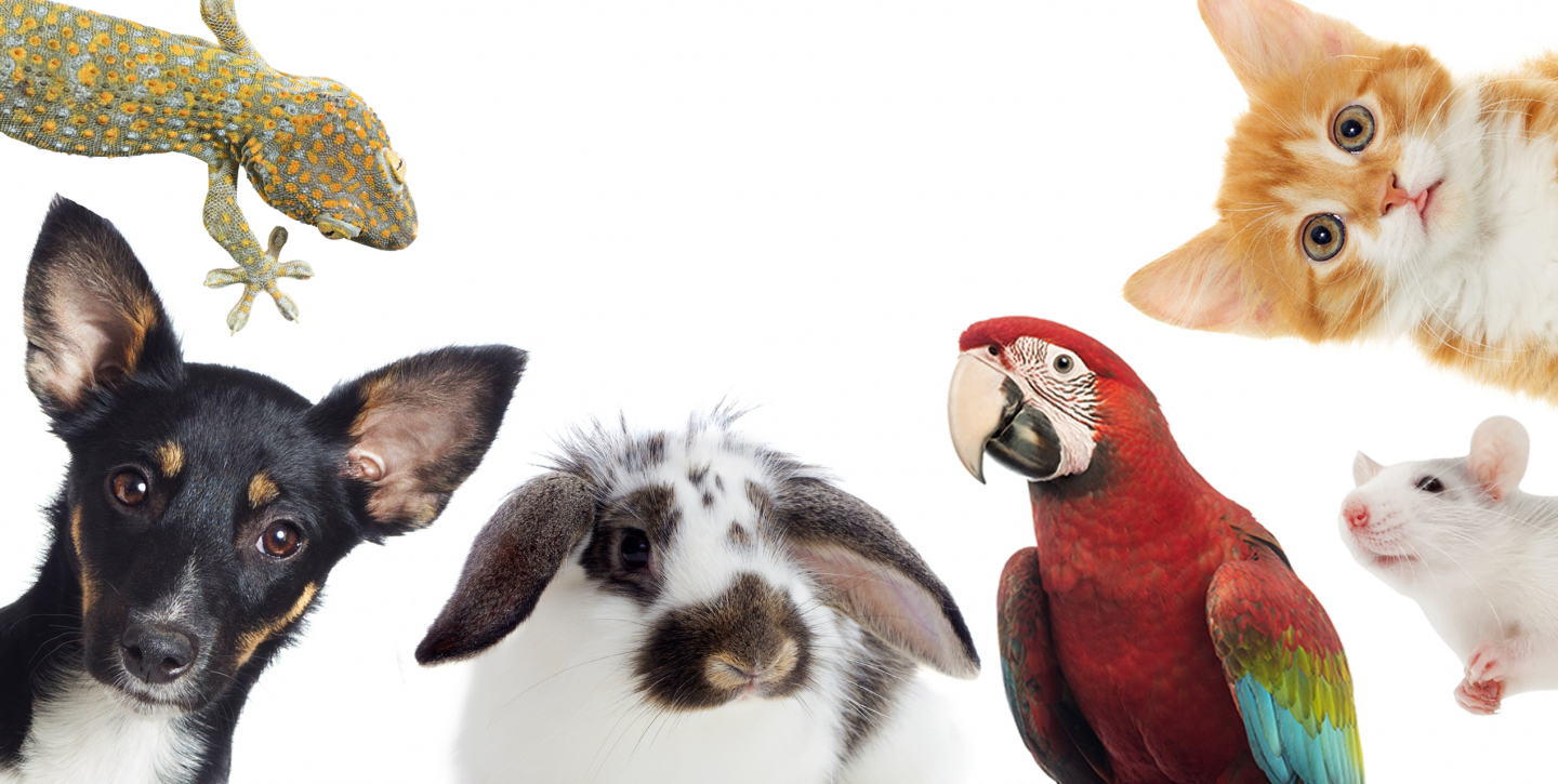 Natural Farm Goes Bioplastics