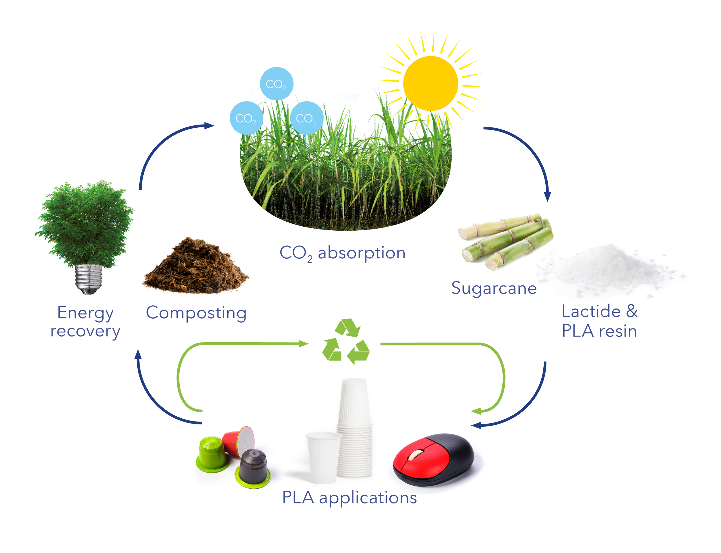 LCA Confirms Low Carbon Footprint of Total Corbion PLA