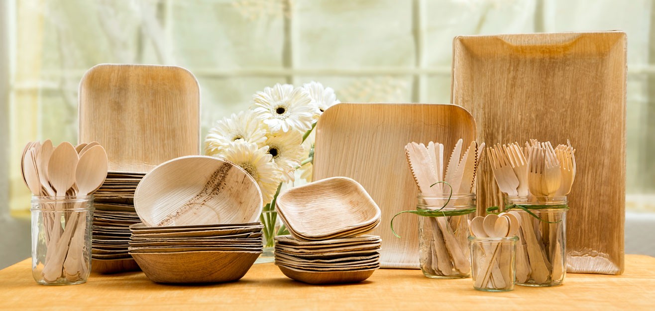 biodegradable tableware