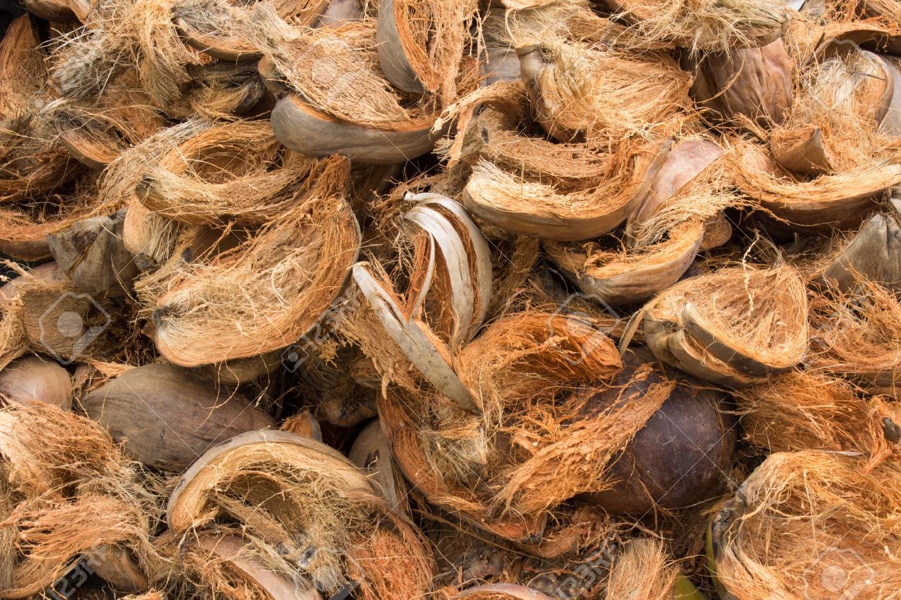 coconut husks