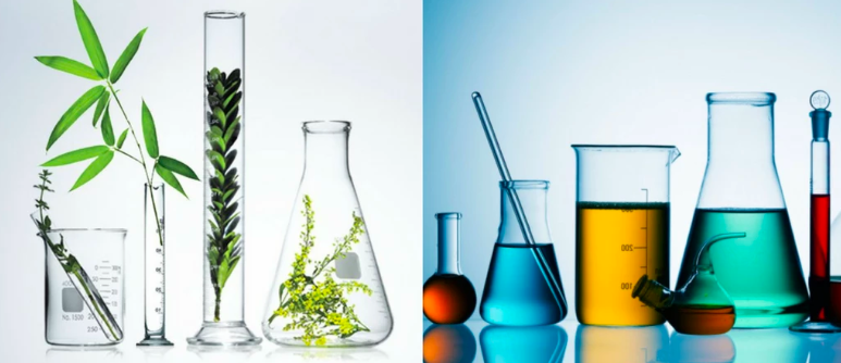 Which Are Natural Polymers in the Sense of the Single-Use Plastic Ban?