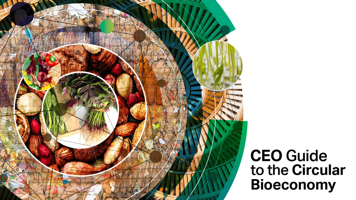 CEO Guide To Circular Bioeconomy