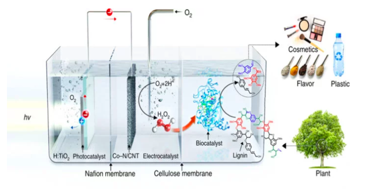 convert lignin chemicals