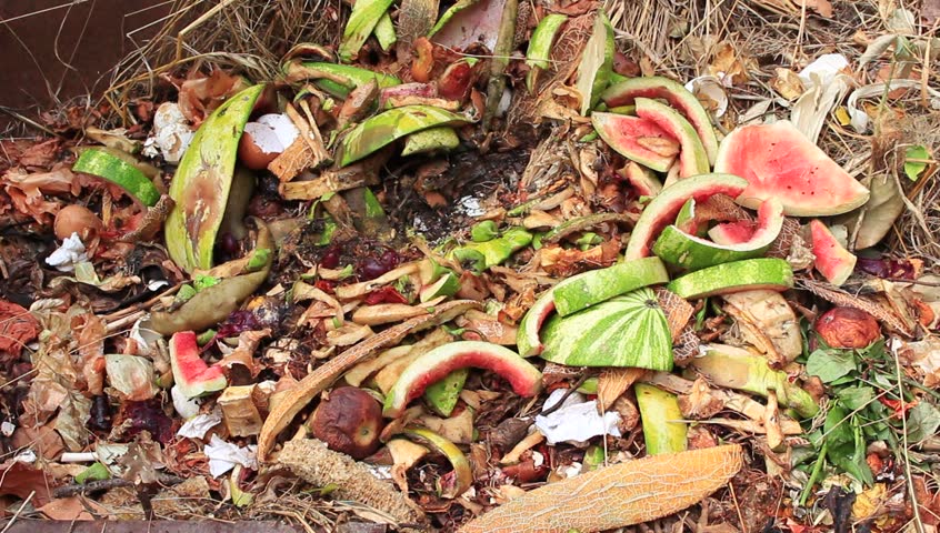 TripleW Partners for Lactic Acid