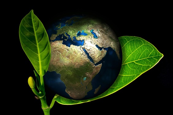 Sulzer PLAnet Bioplastic Technology Creates Market Opportunities for Sugar Producers