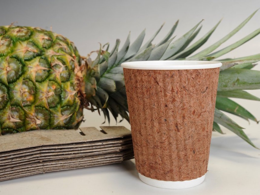 Cups and Bags Made From Pineapple Leaves