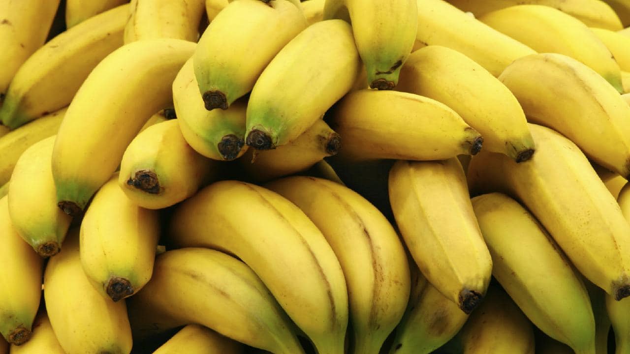 Development of sustainable flame-retardant bio-based hydrogel composites from hemp/wool nonwovens with chitosan-banana sap hydrogel