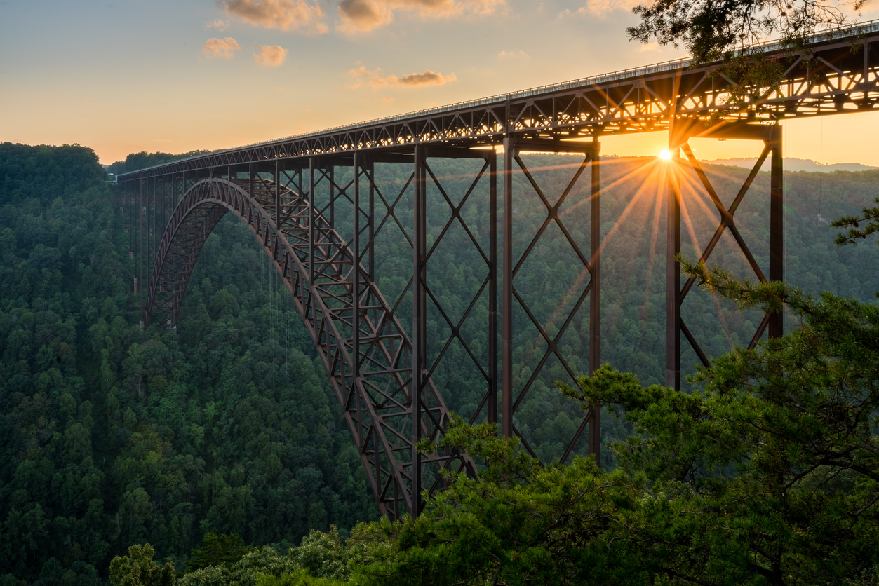 Biodegradable Bridges