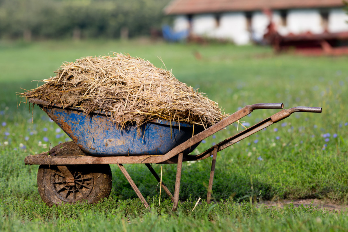 How to Start Composting