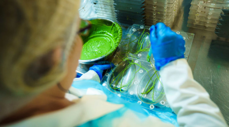 ASDA Tackles Easter Egg Plastic Waste