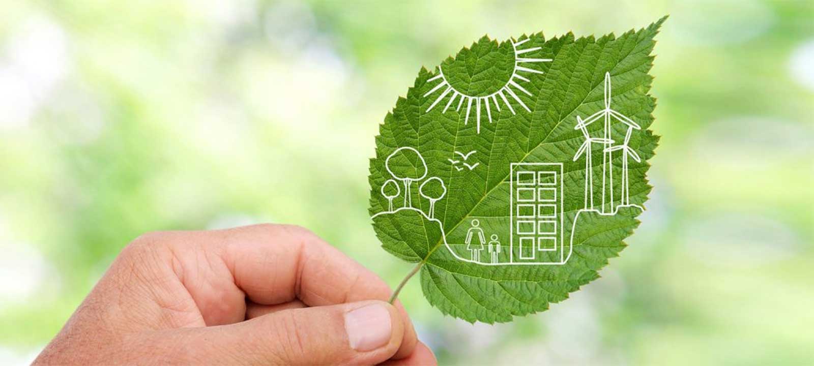 Novel bio-based food packaging supports home composting and recycling