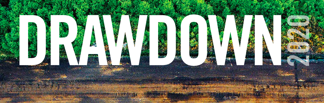 Bioplastics in the Drawdown Project