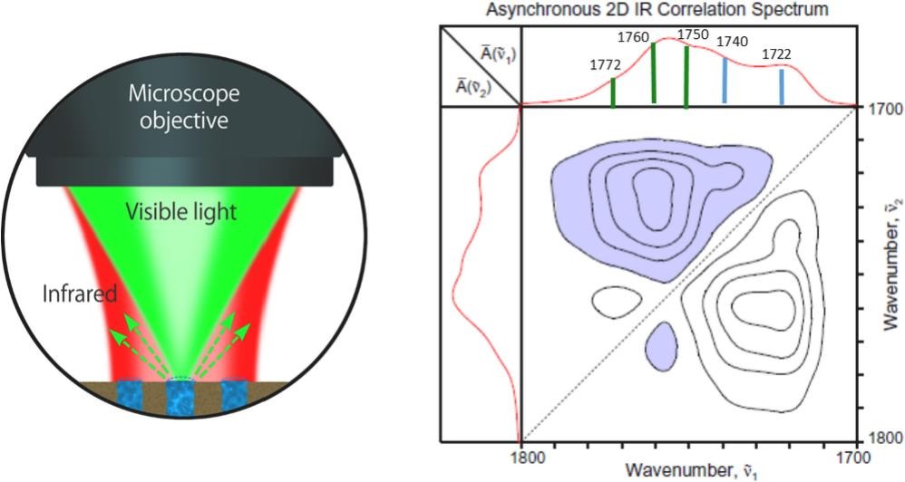 spectral imaging bioplastics