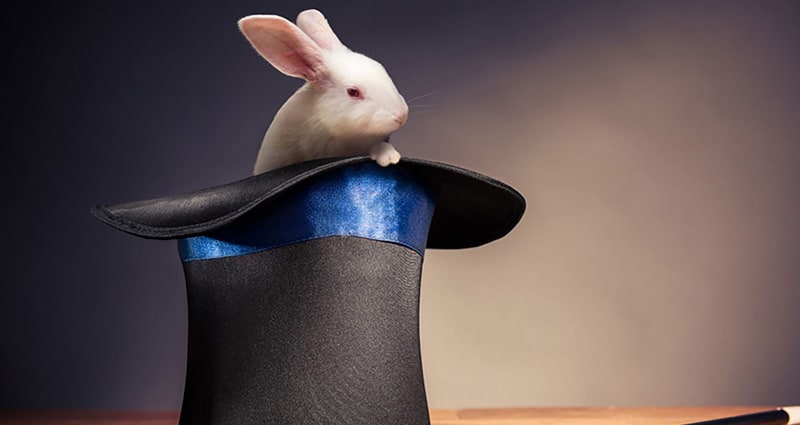 compostable plastics survey