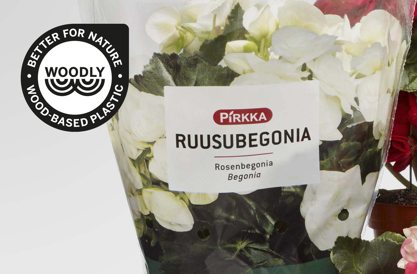 Flowers Wrapped in Wood