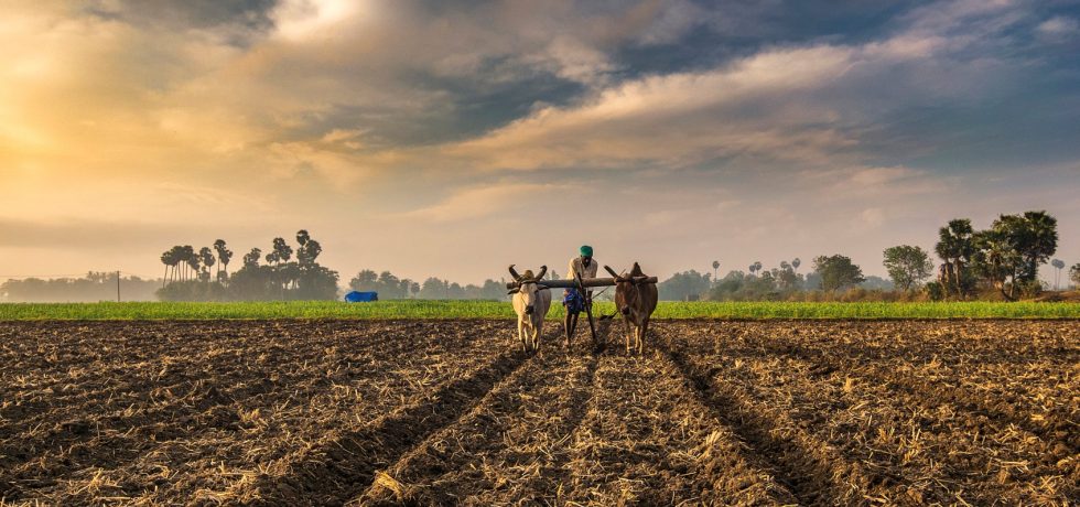 sustainable intensive farming