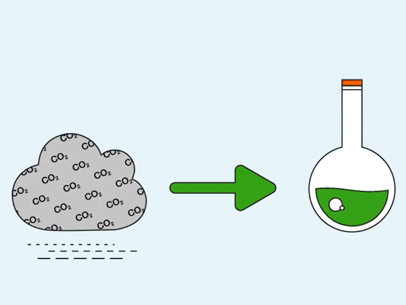 Detergents and Cosmetics from Captured CO2