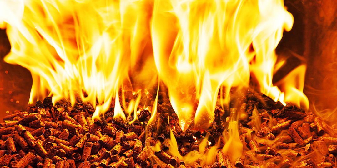 Biomass Energy Not So Sustainable